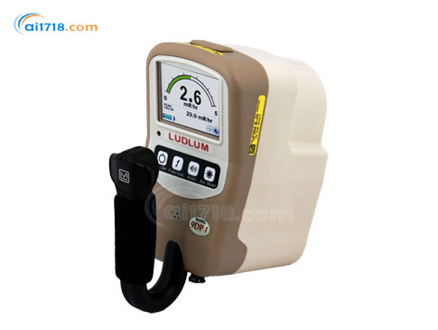 9DP-1電離室輻射測(cè)量儀